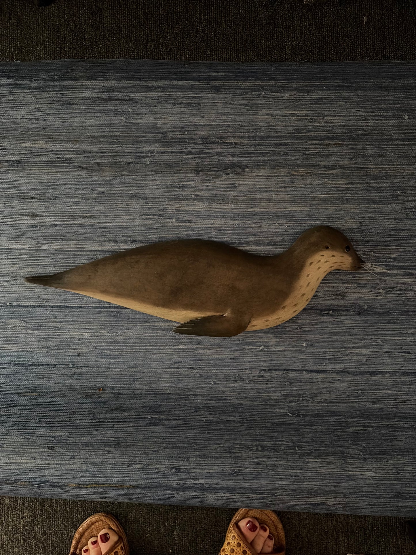 Hand Carved Harbor Seal