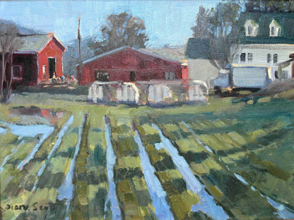 A Wet Spring