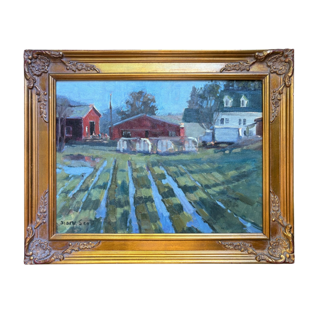A Wet Spring