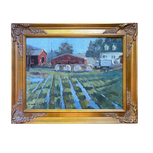 A Wet Spring
